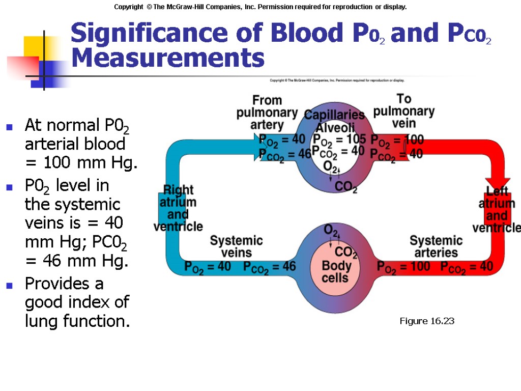 Significance of Blood P02 and PC02 Measurements At normal P02 arterial blood = 100